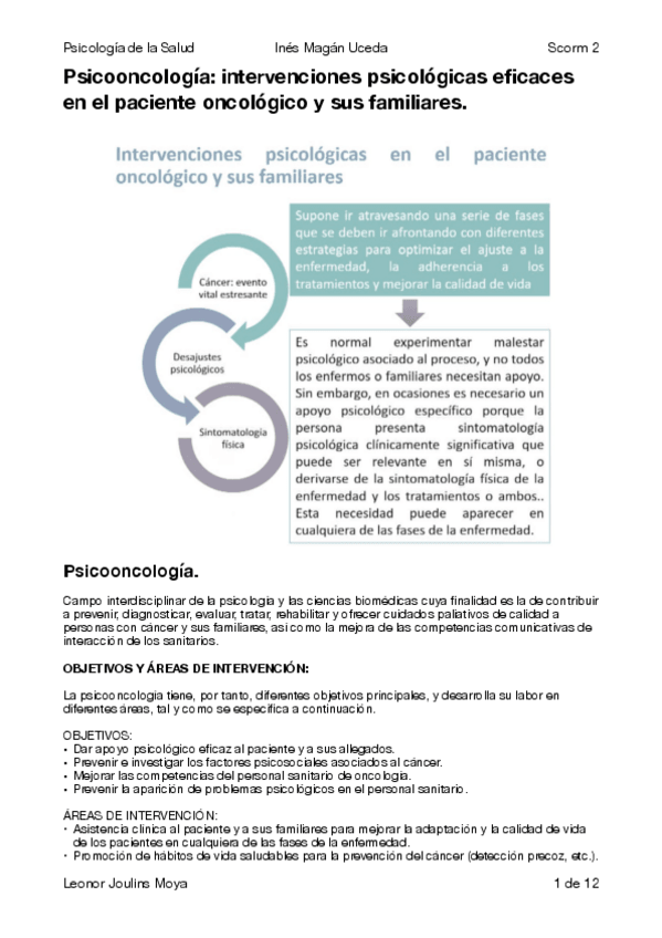 Miniatura del documento Scorm-2-salud-ines.pdf