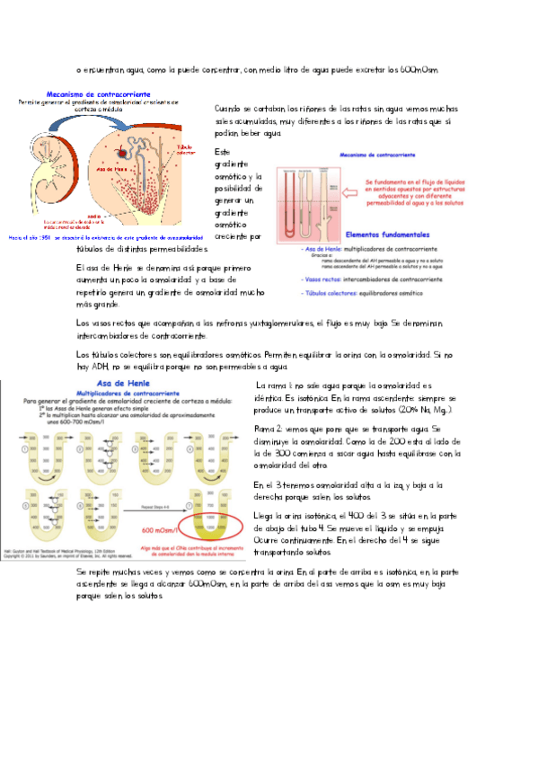 Miniatura del documento clase-tecnologia-tema-19.pdf