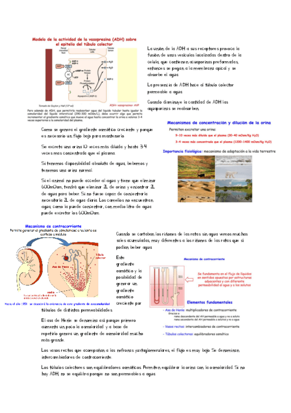 Miniatura del documento clase-tecnologia-tema-15.pdf