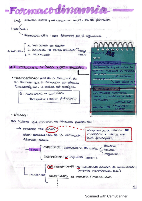 Miniatura del documento Farmacodinamia-esquema.pdf