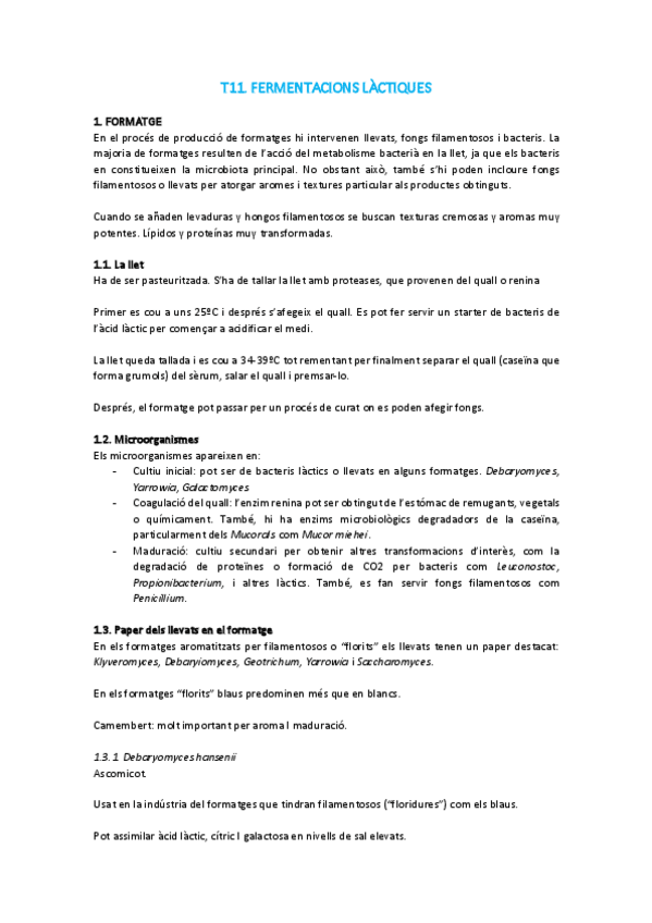 Miniatura del documento T11-MAP.pdf