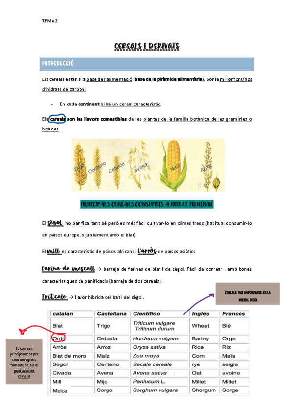 Miniatura del documento TEMA-2-Cereals-i-derivats.pdf