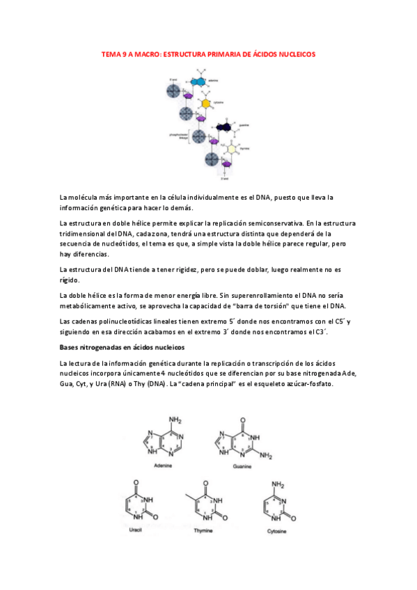 Miniatura del documento TEMA-9-MACRO.pdf