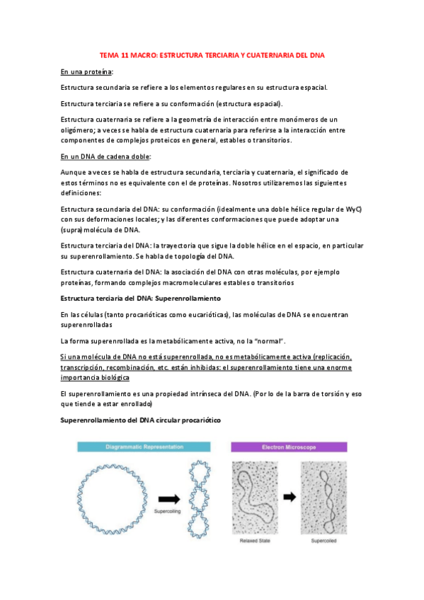 Miniatura del documento TEMA-11-MACRO.pdf