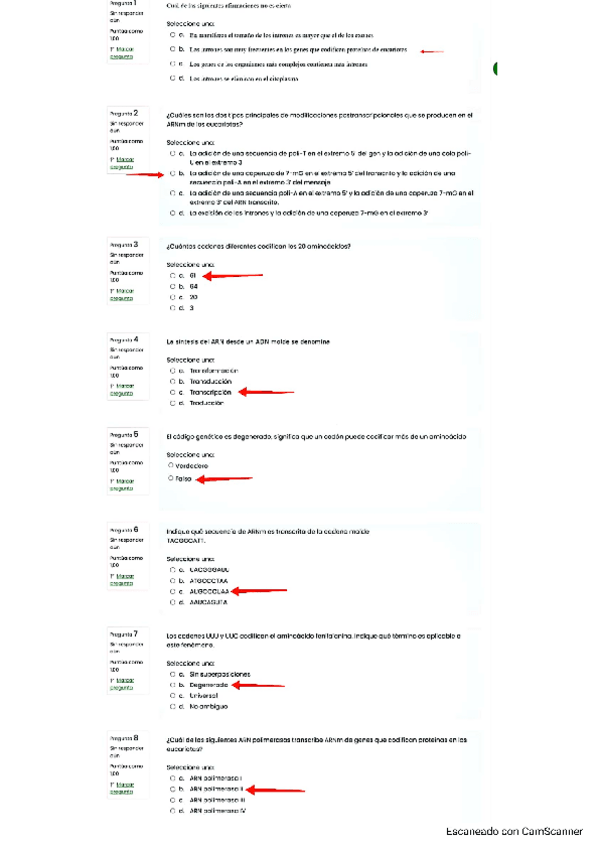 Miniatura del documento Test-Codigo-genetico.pdf