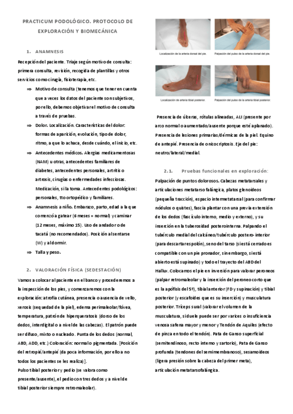 Miniatura del documento Protocolo-explo.pdf