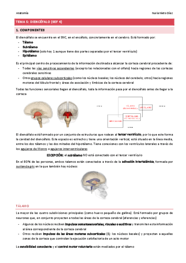 Miniatura del documento TEMA 5 - Diencéfalo (SEF 4).pdf