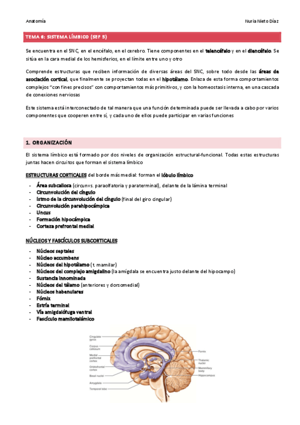 Miniatura del documento TEMA 6 - Sistema límbico (SEF 5).pdf