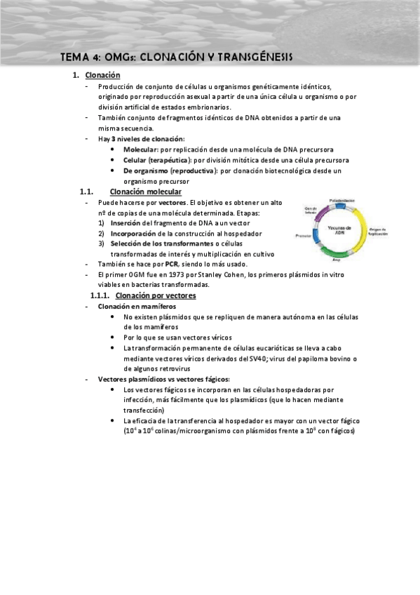 Miniatura del documento Tema-4-apuntes.pdf