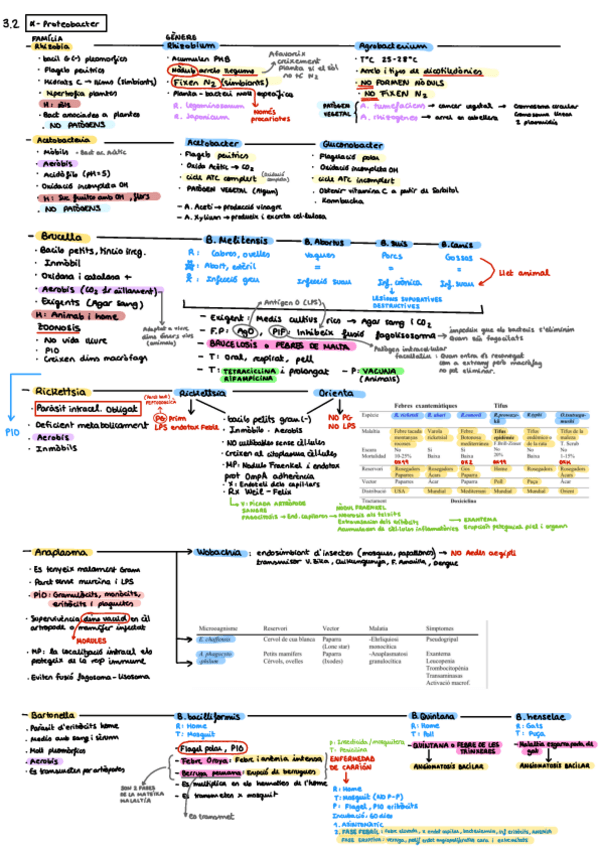 Miniatura del documento Resum-bacteris-2.pdf