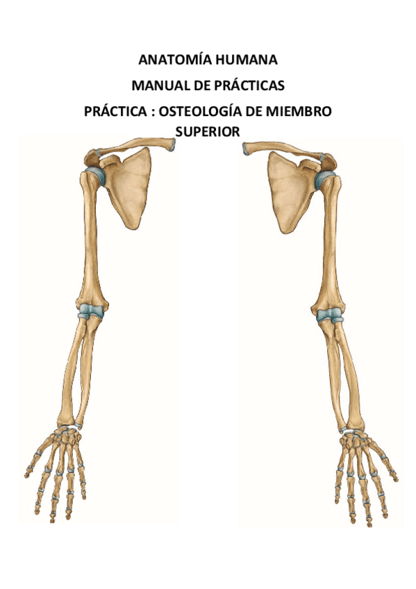 Miniatura del documento MANUAL-ANATOMIA-PRACTICA-4-LAMINAS.pdf