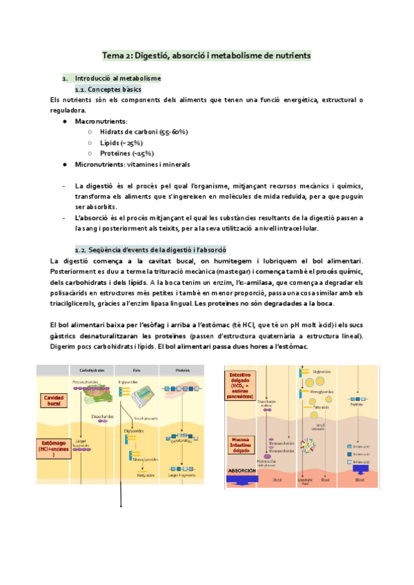 Miniatura del documento Tema-2-Digestio-absorcio-i-metabolisme-de-nutrients.pdf