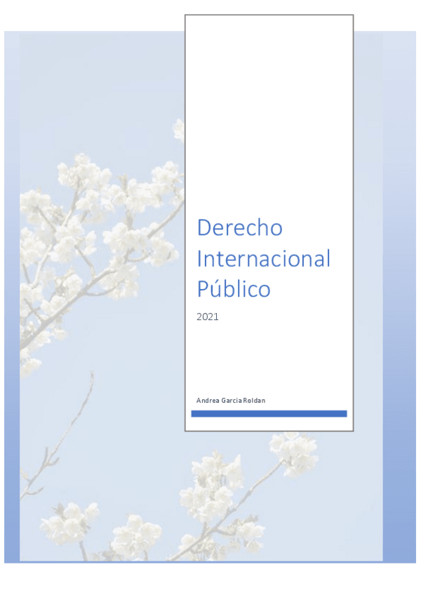 Miniatura del documento Internacional-Pub.pdf