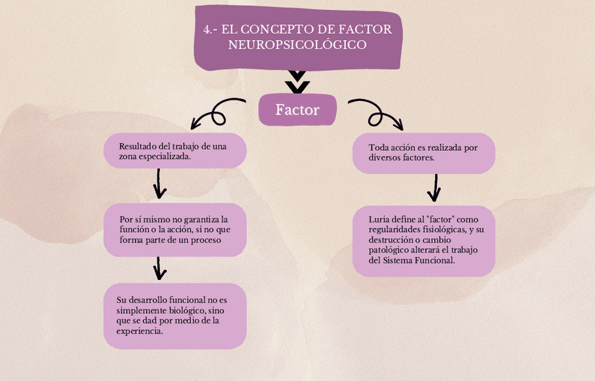 Miniatura del documento MAPA-CONCEPTUAL-Y-TABLA-CONCEPTO-DE-FACTOR-NEUROPSICOLOGICO-Y-FACTORES-IDENTIFICADOS-POR-LURIA.pdf
