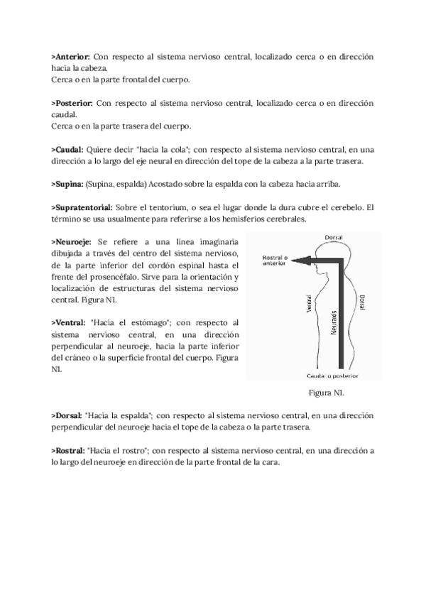 Miniatura del documento DEFINICIONES-DE-ALGUNOS-TERMINOS-NEUROPSICOLOGICOS.pdf
