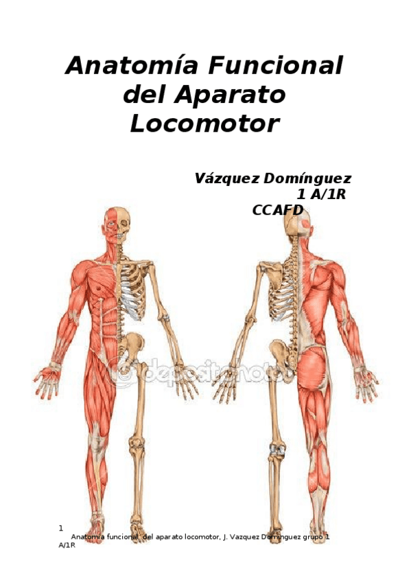Miniatura del documento dosier de anatomia (importante).docx