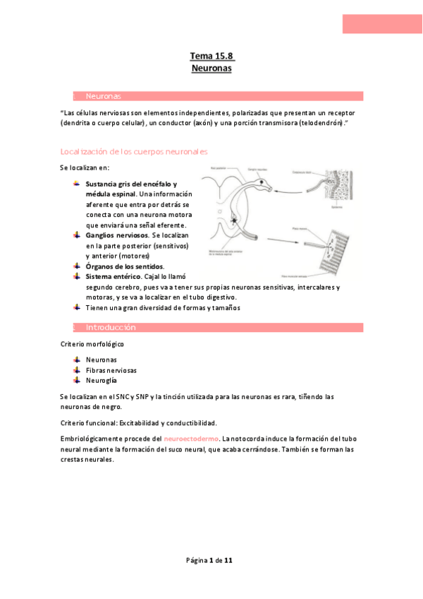 Miniatura del documento Tema-15.8-Neuronas.pdf