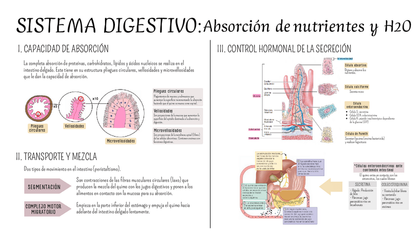 Miniatura del documento Sem-11-EyF.pdf