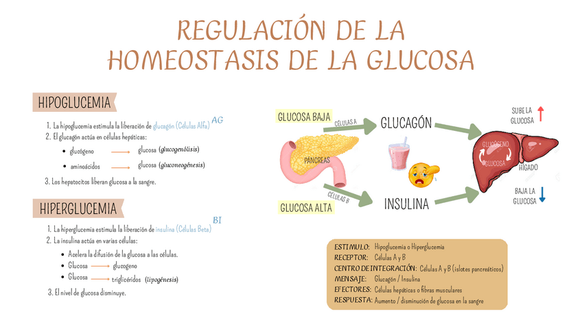 Miniatura del documento Sem2-EyF.pdf