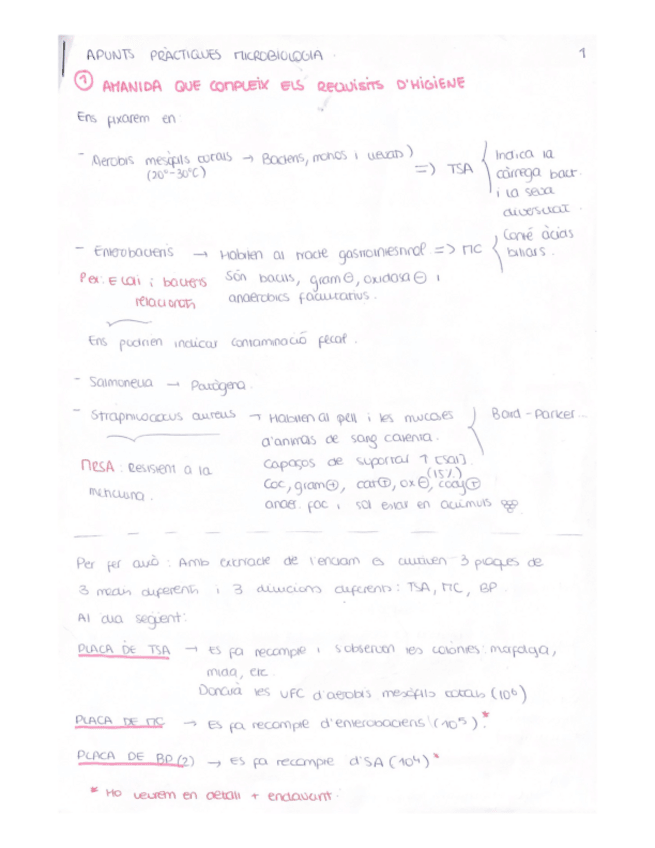 Miniatura del documento APUNTS-PRACTIQUES-2n-sem-MICROBIOLOGIA.pdf