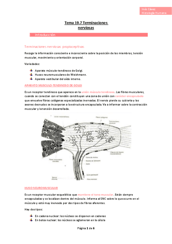 Miniatura del documento Tema-19.pdf