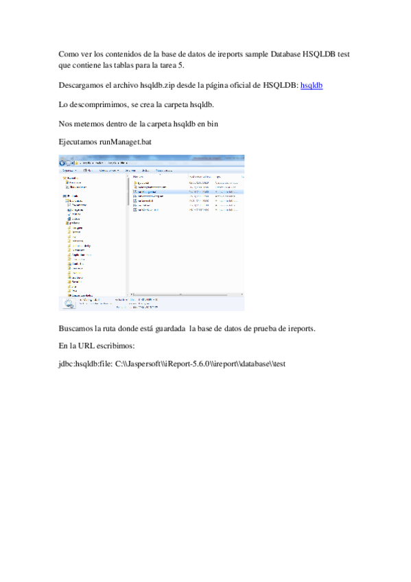 Miniatura del documento Ver-datos-iReports-test.pdf