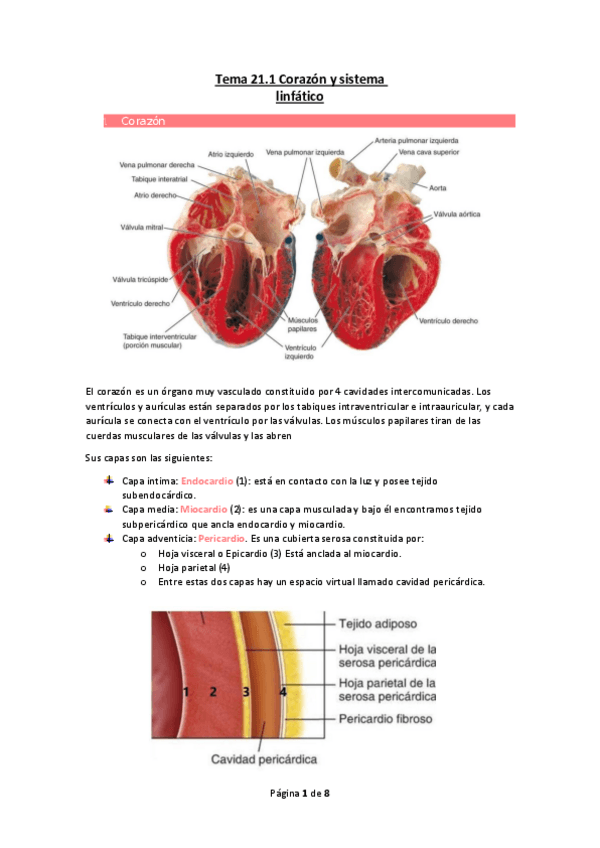 Miniatura del documento Tema-21.pdf