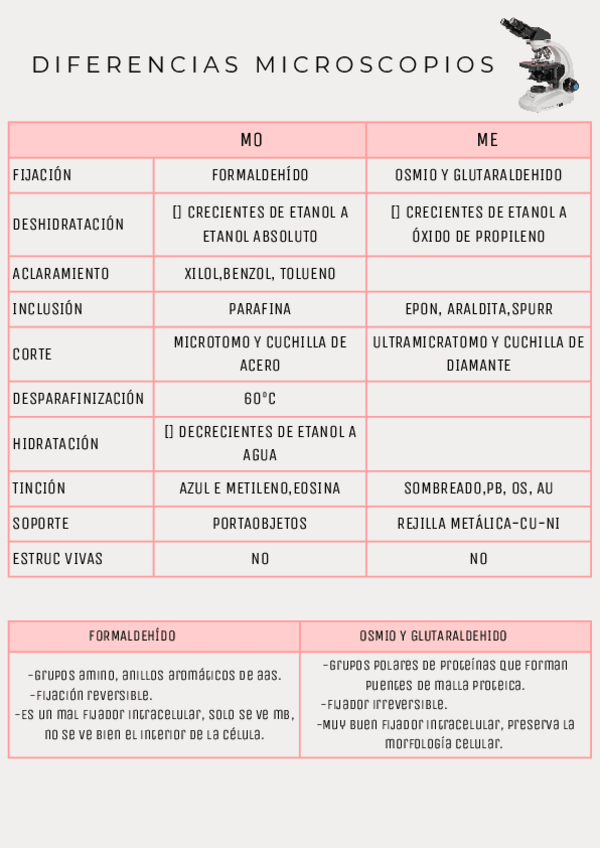 Miniatura del documento Microscopios-bio-cel.pdf