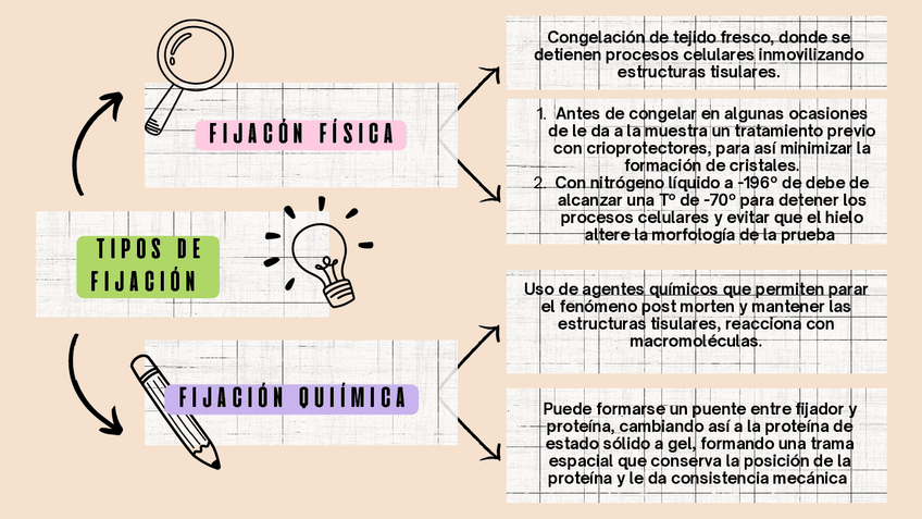 Miniatura del documento Tipos-de-fijacion.pdf