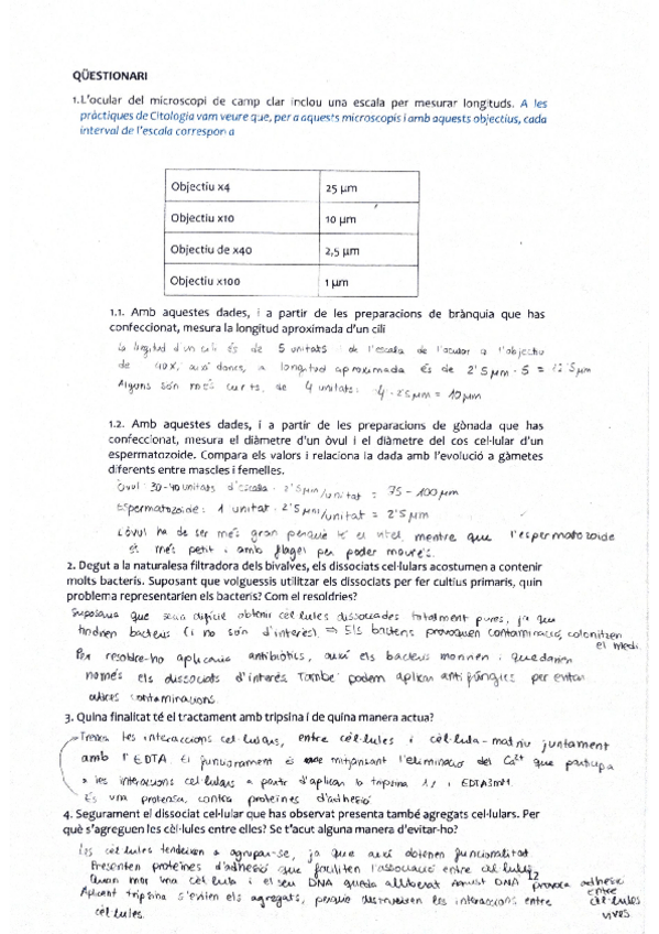 Miniatura del documento Practica-microscopia-LIB-observacio.pdf