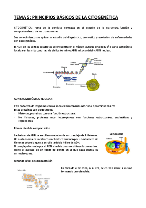 Miniatura del documento tema-biologia-principios-basicos-citogenetica.pdf