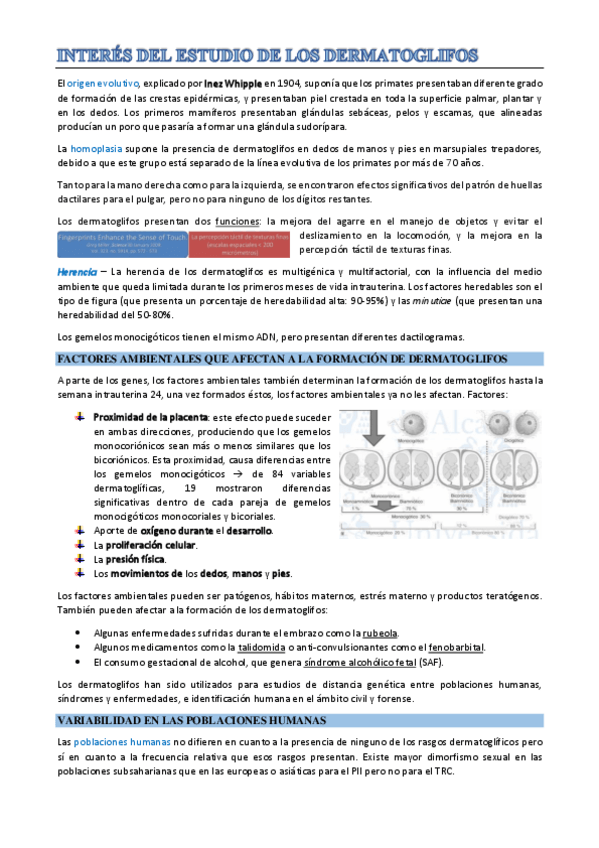 Miniatura del documento T5.pdf