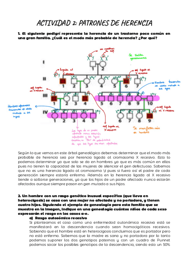 Miniatura del documento ACT-2.pdf