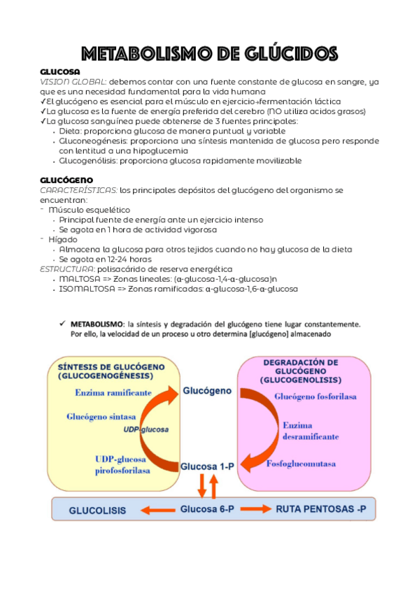 Miniatura del documento TEMA-5.pdf