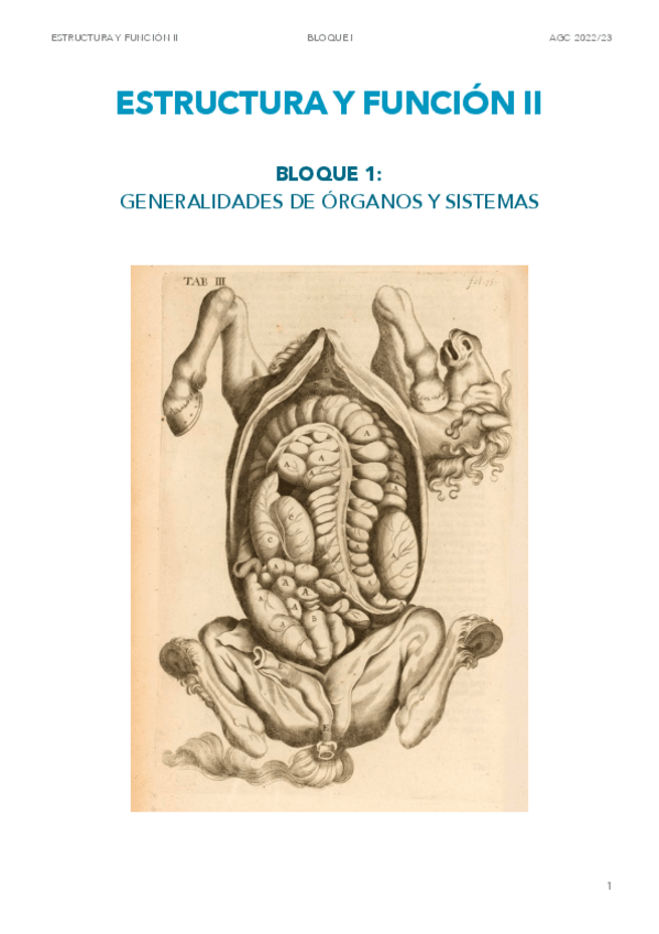 Miniatura del documento EyFII-BLOQUE1: GENERALIDADES DE ORGANOS Y SISTEMAS.pdf