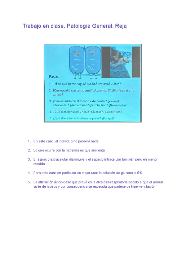Miniatura del documento Trabajo-en-clase-PG-Reja.pdf