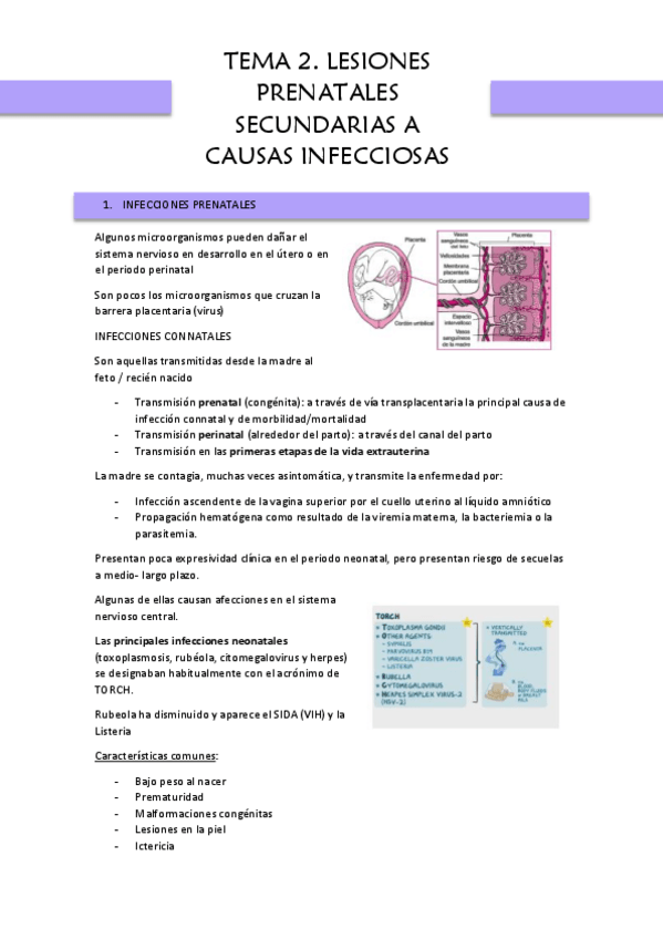 Miniatura del documento TEMA-2-PATOLOGIA-DESARROLLO.pdf