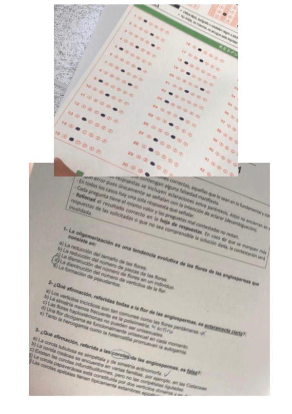 Miniatura del documento EXAMEN-MAYO-22.pdf