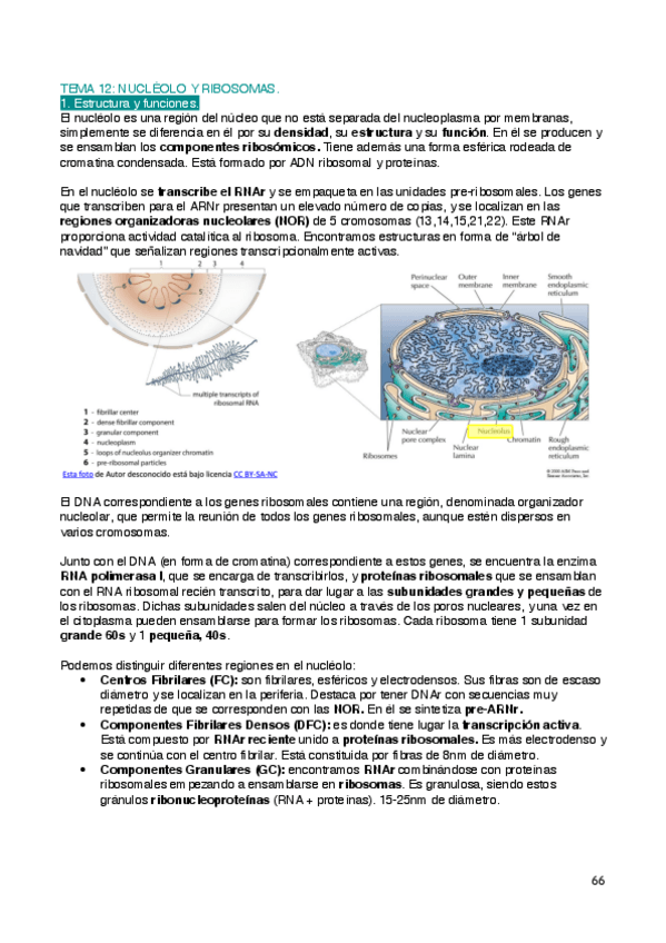 Miniatura del documento Biologia-T12.pdf