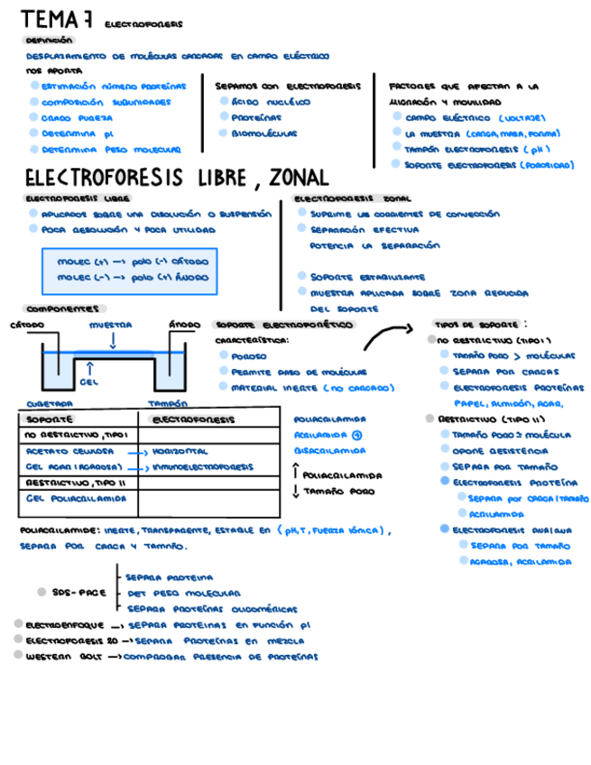 Miniatura del documento TEMA-7-Electroforesis.pdf