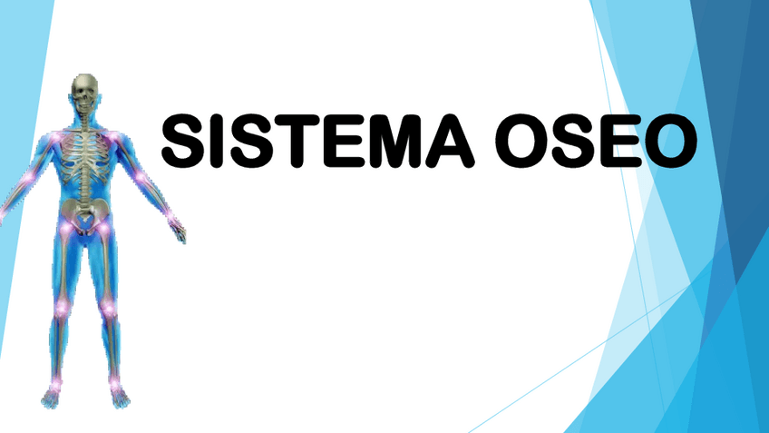 Miniatura del documento SISTEMA-OSEO.pdf