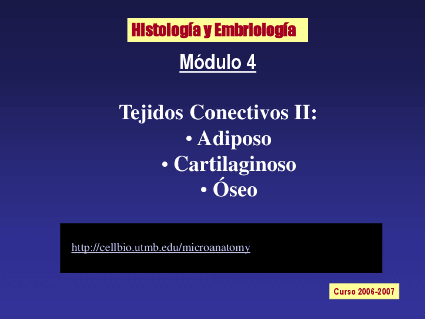 Miniatura del documento Adipos-Cartilago-huesoMOD5-CDC-07.pdf