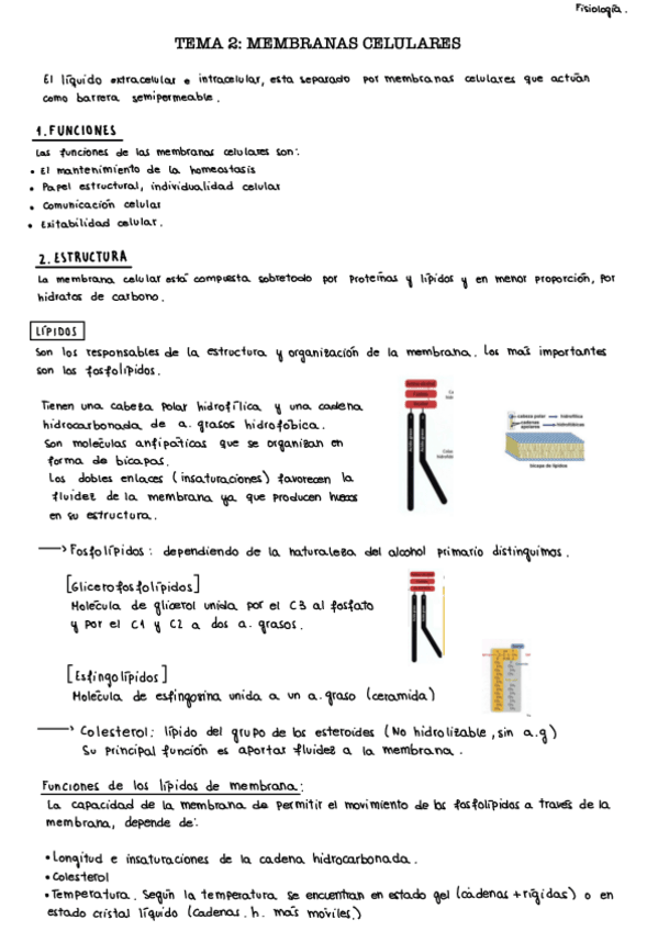 Miniatura del documento Tema-2.-Membranas-celulares.pdf