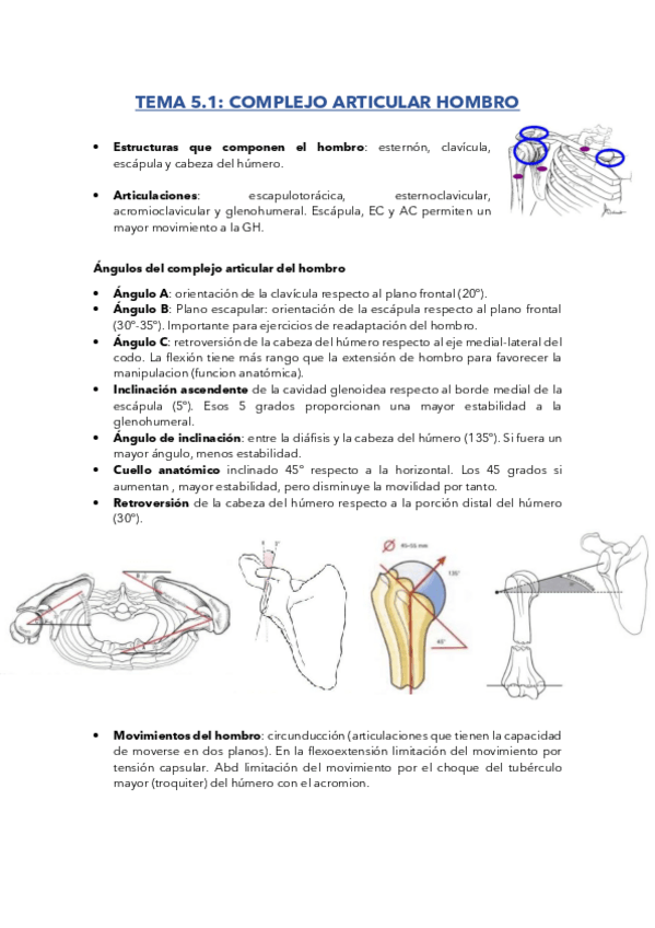 Miniatura del documento TEMA-5.1-HOMBRO-Y-CODO.pdf