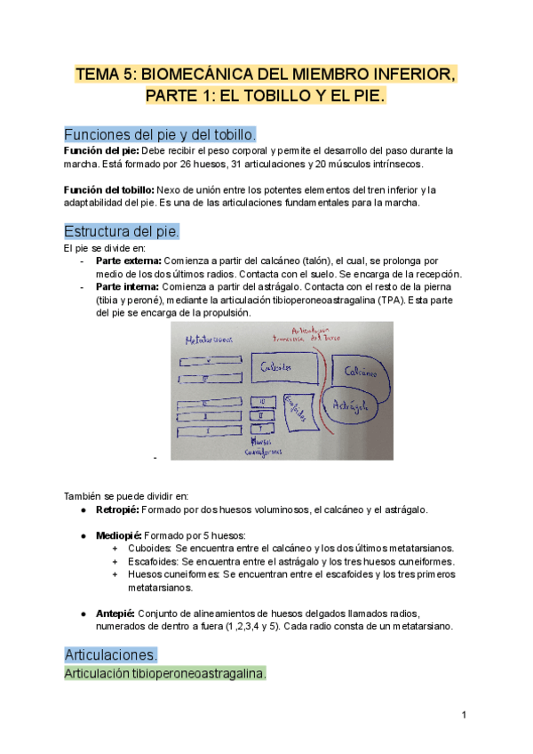 Miniatura del documento TEMA-5-BIOMECANICA.docx.pdf