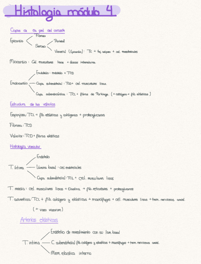 Miniatura del documento resumen-M4-biologia.pdf