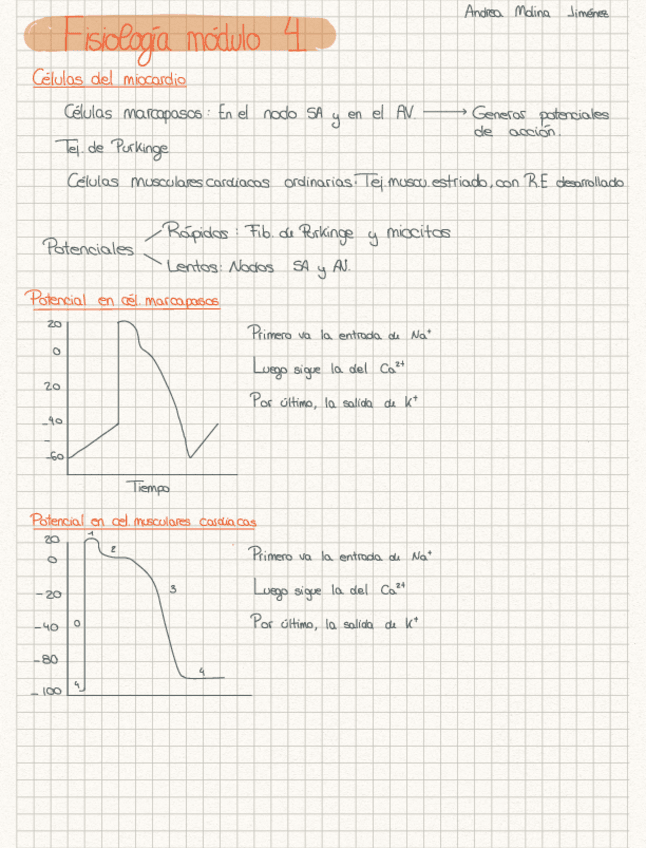 Miniatura del documento resumen-M4-fisio.pdf