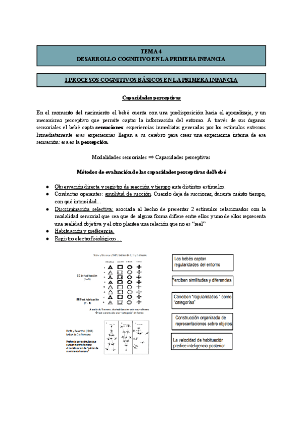 Miniatura del documento T4-Psicologia-del-Desarrollo-I.pdf