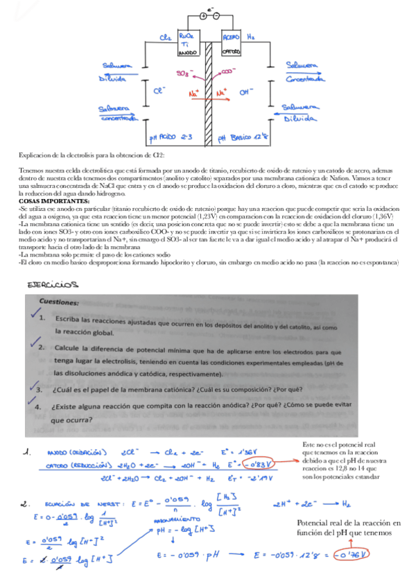 Miniatura del documento Practica-3-Halogenos.pdf