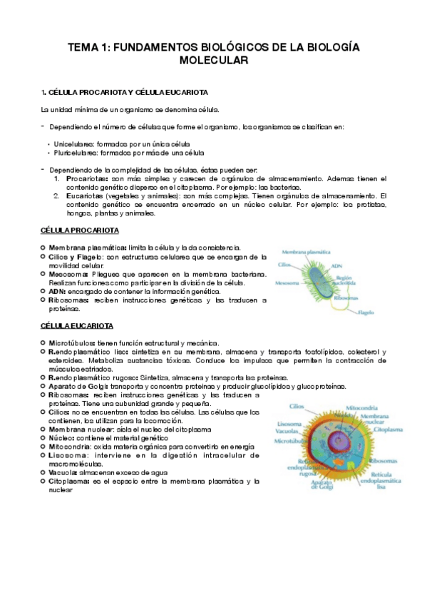 Miniatura del documento TEMA-1-BIOLOGAA.pdf
